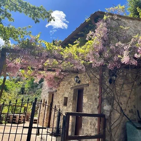 Apartman La Luce Dell'est